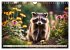 Große und kleine Bären (Wandkalender... - Bild 13