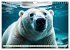 Große und kleine Bären (Wandkalender... - Bild 7