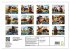 Der tierisch lustige Bauern-Kalender... - Bild 5