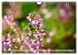 Lüneburger Südheide (Wandkalender... - Bild 13