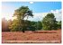 Lüneburger Südheide (Wandkalender... - Bild 14