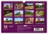 Lüneburger Südheide (Wandkalender... - Bild 6