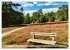 Lüneburger Südheide (Wandkalender... - Bild 9