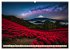 Typisch Japanisch (Wandkalender 2026... - Bild 4