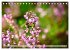 Lüneburger Südheide (Tischkalender... - Bild 13