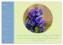 Flora in royalem Blau (Wandkalender... - Bild 11