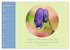 Flora in royalem Blau (Wandkalender... - Bild 5