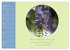 Flora in royalem Blau (Wandkalender... - Bild 10