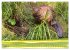 Impressionen aus Mecklenburg -... - Bild 13