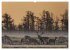Impressionen aus Mecklenburg -... - Bild 14