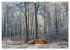 Impressionen aus Mecklenburg -... - Bild 7