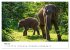 Urlaub in Sri Lanka - Reise durch... - Bild 10