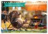Der tierisch lustige Camping-Kalender... - Bild 15