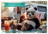 Der tierisch lustige Camping-Kalender... - Bild 5