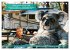 Der tierisch lustige Camping-Kalender... - Bild 7