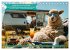 Der tierisch lustige Camping-Kalender... - Bild 10