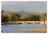 Herrliches Arno Tal - Wanderurlaub in... - Bild 13