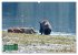 Herrliches Arno Tal - Wanderurlaub in... - Bild 14