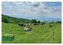 Herrliches Arno Tal - Wanderurlaub in... - Bild 8