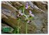 Herrliches Arno Tal - Wanderurlaub in... - Bild 10