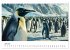 Maritim pur - Pinguine (Tischkalender... - Bild 12
