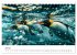 Maritim pur - Pinguine (Tischkalender... - Bild 13