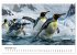 Maritim pur - Pinguine (Tischkalender... - Bild 4