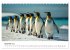 Maritim pur - Pinguine (Tischkalender... - Bild 5