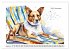 Hundeträume (Wandkalender 2026 DIN A2... - Bild 14