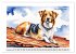 Hundeträume (Wandkalender 2026 DIN A2... - Bild 5