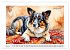 Hundeträume (Wandkalender 2026 DIN A2... - Bild 9