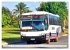 Omnibus-Welt - Autobusse in Kuba... - Bild 3