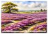 Zauberhafte Niederlande (hochwertiger... - Bild 4