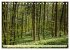 Hegau und Bodensee - Lieblingsorte... - Bild 11