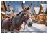 Eselträume (Wandkalender 2026 DIN A4... - Bild 5