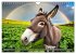 Eselträume (Wandkalender 2026 DIN A4... - Bild 9
