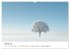 Minimalistische Naturmomente - Ruhe und... - Bild 7