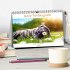 bunte Tierfotografie an Land und im... - Bild 2