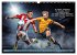 Fußball und tolle Sprüche... - Bild 9