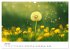 Minimalistische Naturmomente - Ruhe und... - Bild 12