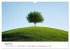 Minimalistische Naturmomente - Ruhe und... - Bild 14