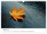 Minimalistische Naturmomente - Ruhe und... - Bild 3