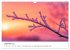 Minimalistische Naturmomente - Ruhe und... - Bild 5
