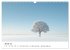 Minimalistische Naturmomente - Ruhe und... - Bild 7
