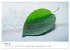 Minimalistische Naturmomente - Ruhe und... - Bild 9
