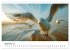 Maritim pur - Möwen (hochwertiger... - Bild 14