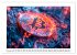 Bitcoin und Beyond (hochwertiger... - Bild 4