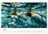Maritim pur - Pinguine (Wandkalender... - Bild 13