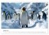 Maritim pur - Pinguine (Wandkalender... - Bild 7