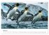 Maritim pur - Pinguine (Wandkalender... - Bild 10